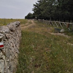 progetto Path- Parco Alta Murgia