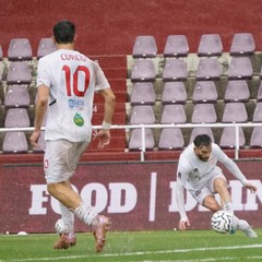 Assist di Rosafio - foto Team Altamura