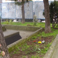 Guerrilla Gardening Altamura