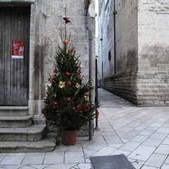 Eventi Natale 2010