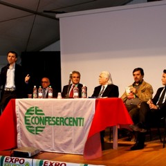 ExpoMurgia 2010, parte prima