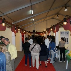 ExpoMurgia 2010, parte prima