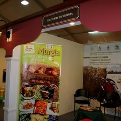 ExpoMurgia 2010, parte prima