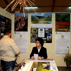 ExpoMurgia 2010, parte prima