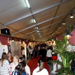 ExpoMurgia 2010, parte prima