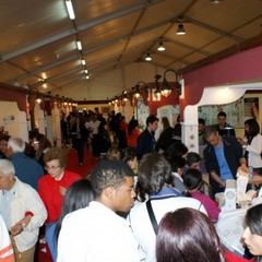 ExpoMurgia 2010, parte prima