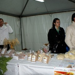 ExpoMurgia 2010, parte prima