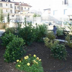 Un giardino dedicato a Nunzio Clemente