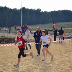 2^ Prova CDS Cross 2011