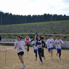 2^ Prova CDS Cross 2011