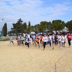 2^ Prova CDS Cross 2011