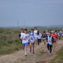 2^ Prova CDS Cross 2011