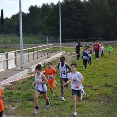 2^ Prova CDS Cross 2011