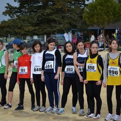 2^ Prova CDS Cross 2011