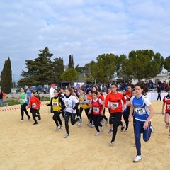 2^ Prova CDS Cross 2011