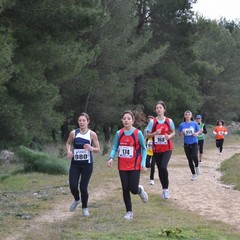 2^ Prova CDS Cross 2011