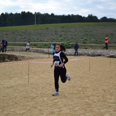 2^ Prova CDS Cross 2011