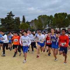 2^ Prova CDS Cross 2011