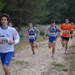 2^ Prova CDS Cross 2011