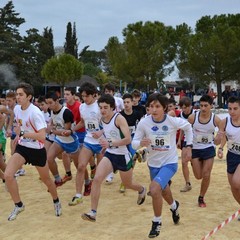 2^ Prova CDS Cross 2011