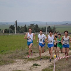 2^ Prova CDS Cross 2011