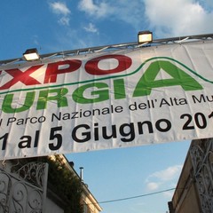 Expomurgia 2011