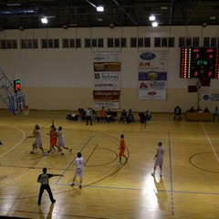 Libertas Basket - Barile Flowers Terlizzi 59-70