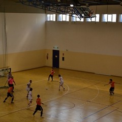 Pellegrino Sport - Futsal Barletta 3-6