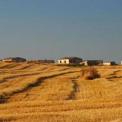 Borgo contadino in territorio di Spinazzola