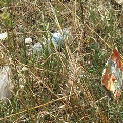 Atti di vandalismo presso le Mura Megalitiche