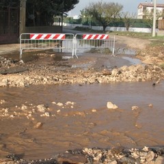 Campagne in via Corato