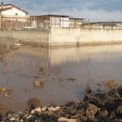 Campagne in via Corato