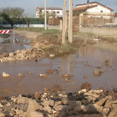 Campagne in via Corato