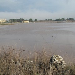 Campagne in via Corato