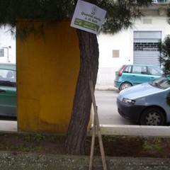 Guerrilla Gardening Altamura