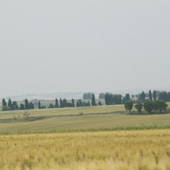 I giro nazionale del parco dell'Alta Murgia