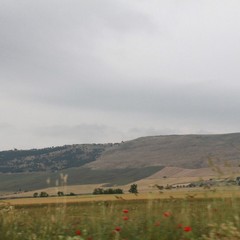 I giro nazionale del parco dell'Alta Murgia