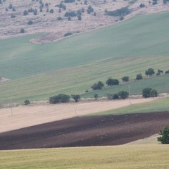 I giro nazionale del parco dell'Alta Murgia