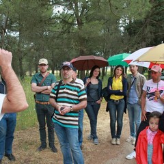 I giro nazionale del parco dell'Alta Murgia