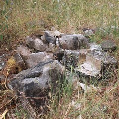 I giro nazionale del parco dell'Alta Murgia