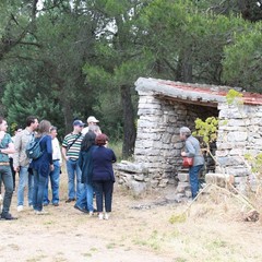 I giro nazionale del parco dell'Alta Murgia