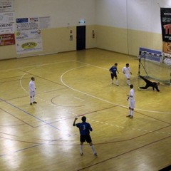 Team Apualia - Futsal King Putignano