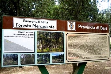 Foresta Mercadante