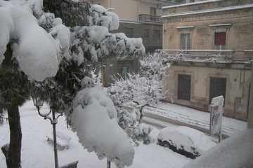 neve