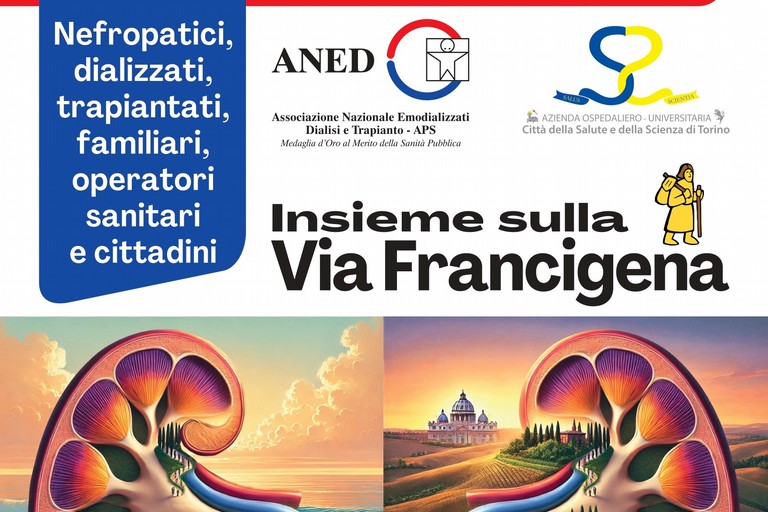 ANED