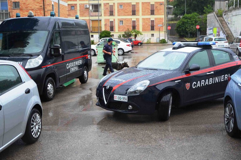 Carabinieri di Matera: attività antidroga