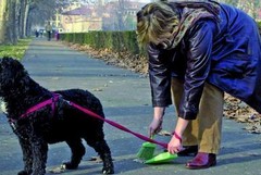 Deiezioni canine, un'interpellanza del consigliere Loiudice