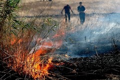 Dichiarato lo stato di grande pericolosità per gli incendi