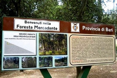 Foresta Mercadante, sequestrato immobile della Regione Puglia