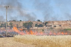 Giornata di fuochi ad Altamura, fiamme vicine a stazione servizio